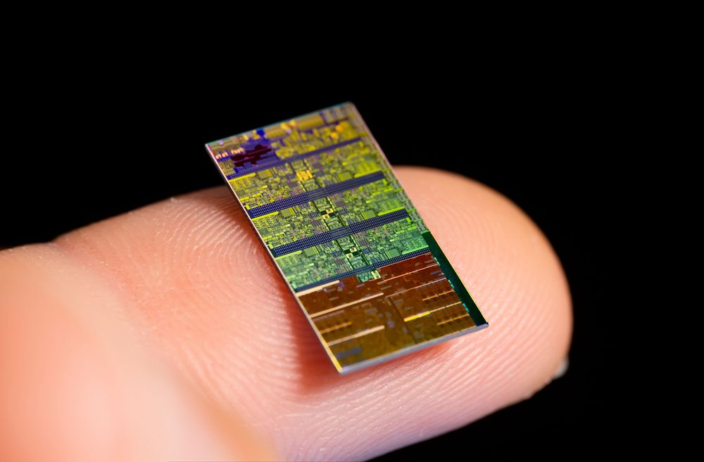 Microchip