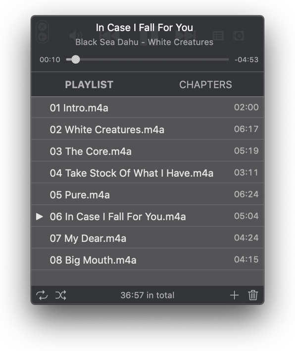 Screenshot Music Player