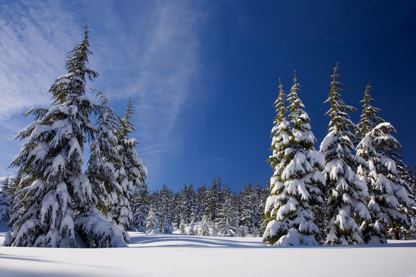 winter_2.jpg